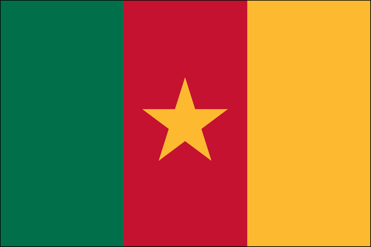 National Flag Of Cameroon